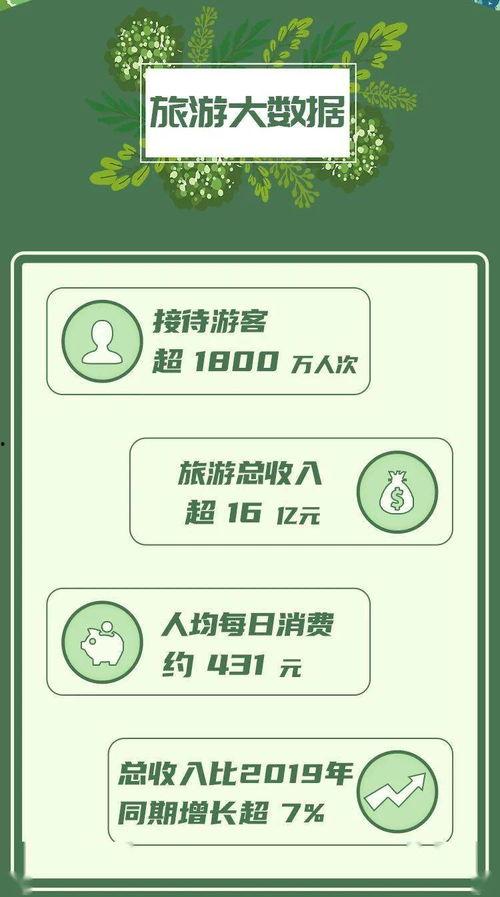 苏离大光头最新爆料,娱乐圈幕后真相大曝光！