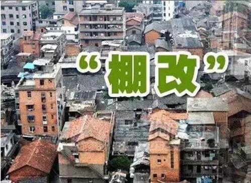 石家庄龙湖爆料案件最新,揭秘背后惊人真相