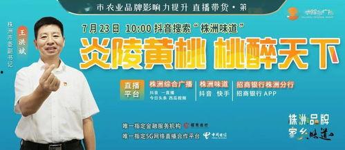 9月高招最新爆料,最新爆料揭示招生政策与热门专业趋势